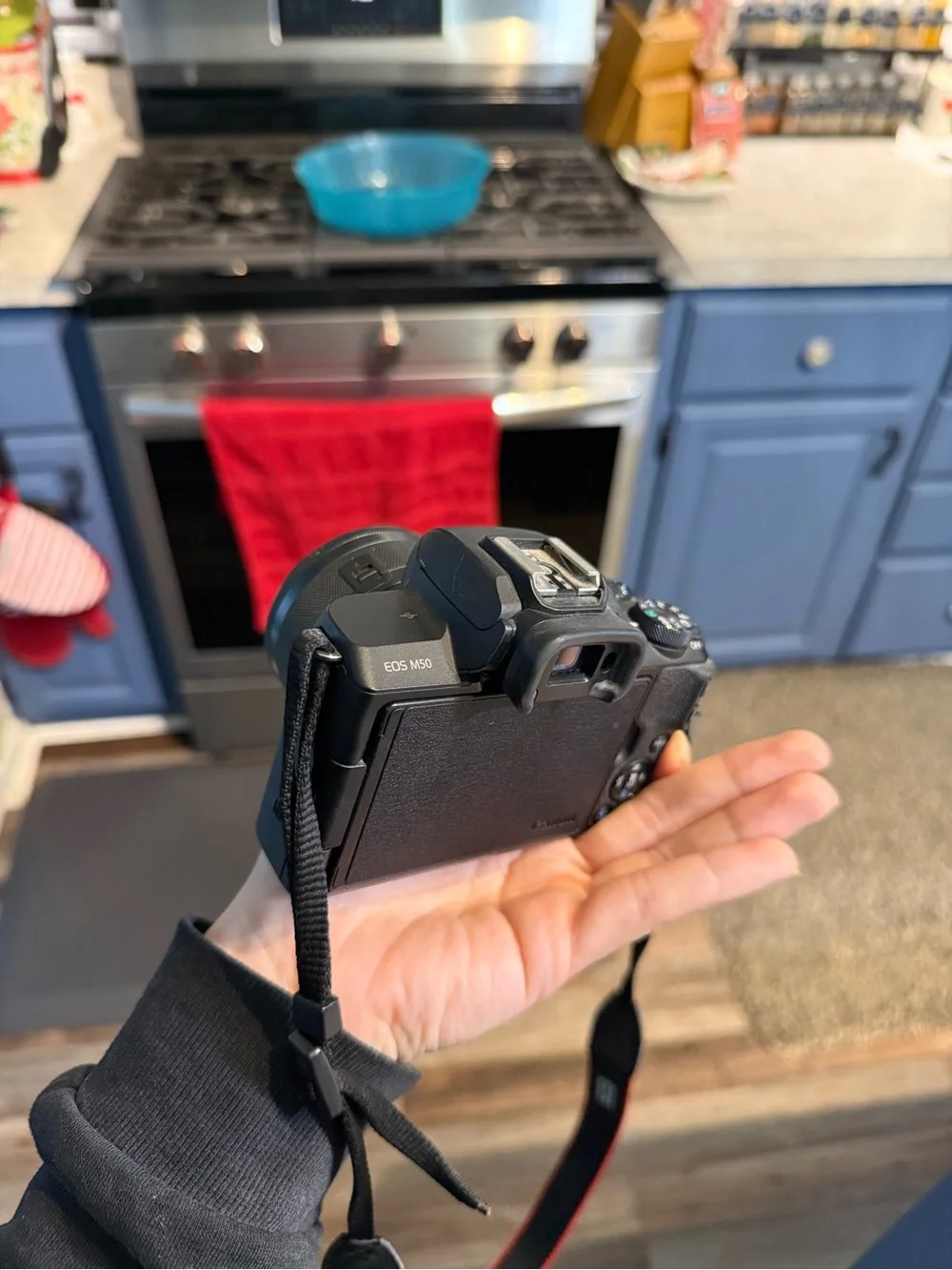 Canon EOS Digital Camera in Black